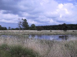 Una de las �reas de naturaleza protegidas.