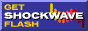 Heeft u nog geen Shockwave Flash5-plugin, dan kunt u hem hier downloaden(&plusmn;107kb)
